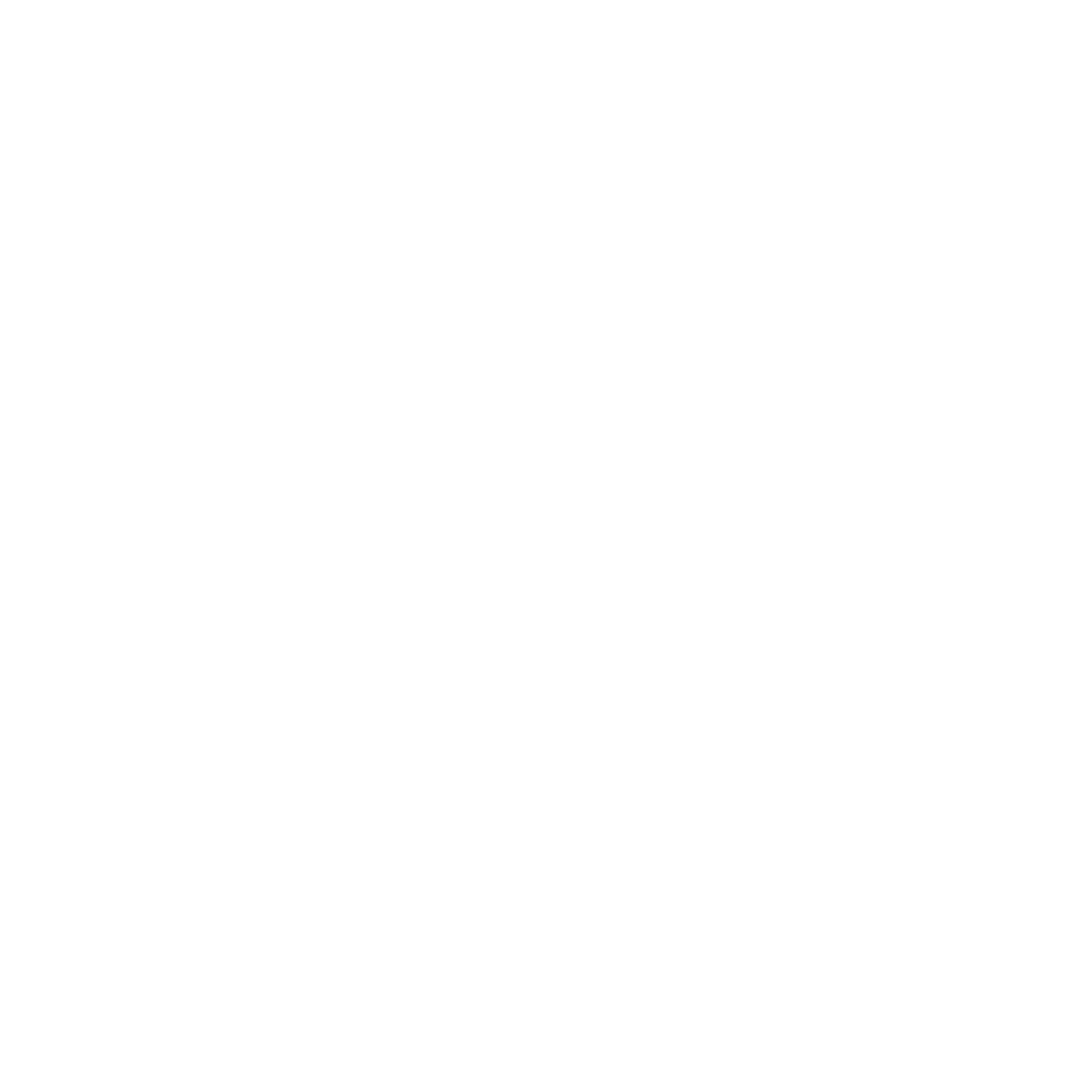 Mentors Against Bullying